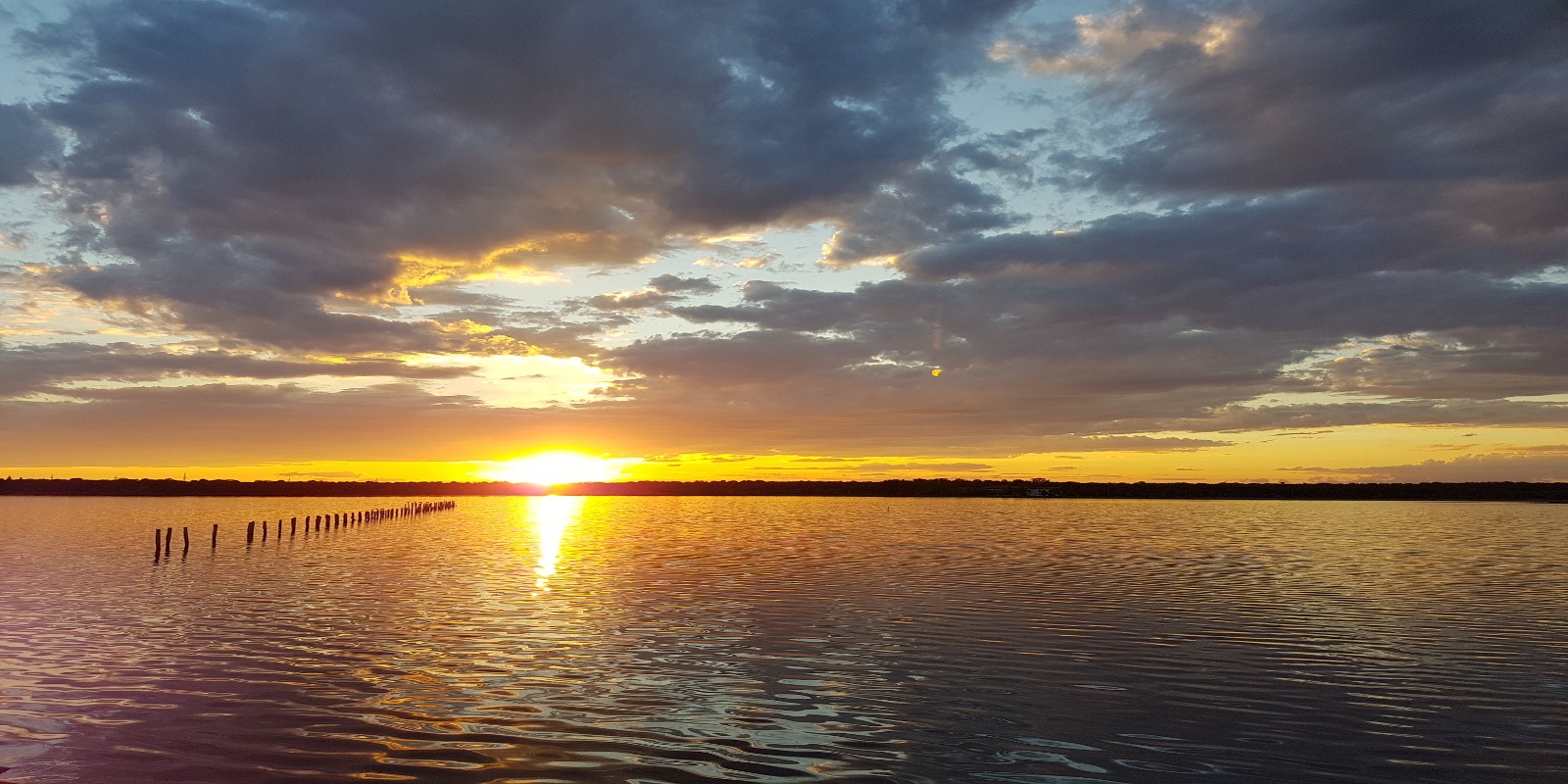 lacul sarat pentru varicoza puncte de producie de lipitori în varicoza