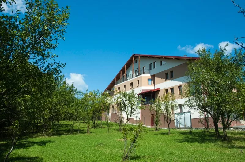 Revelion 2022 in Slanic Prahova Pensiunea Muntele Verde****