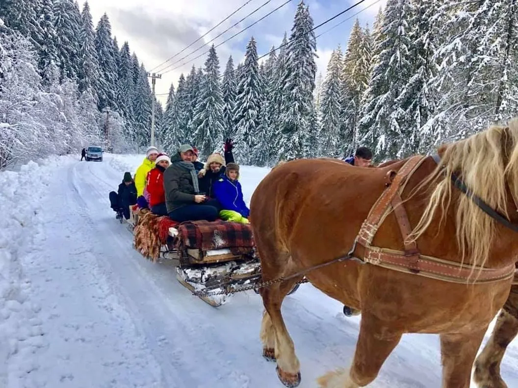 Revelion 2027 in Maramures Petrova Pensiunea Dacii Liberi