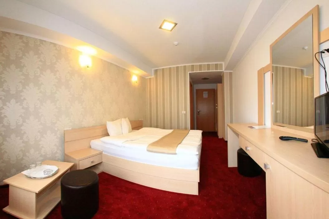 Revelion 2025 Maramures Borsa Hotel Roman