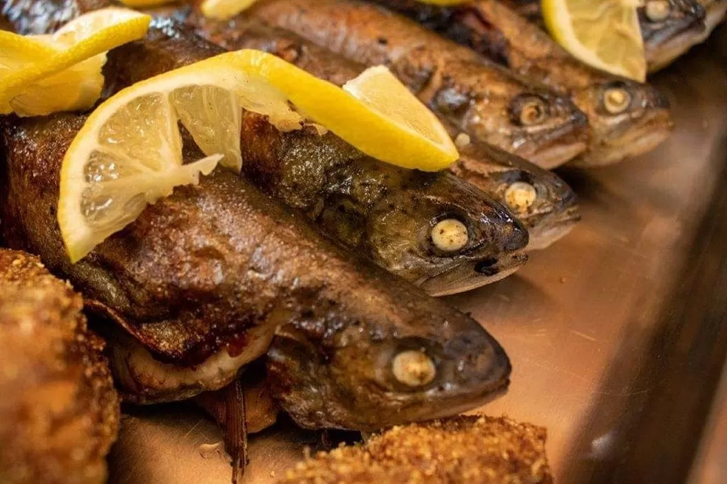 Vacanta 2026 in Clisura Dunarii Eselnita Pensiunea Danubia