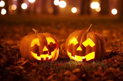 Halloween 2025 Predeal Vila Evergreen