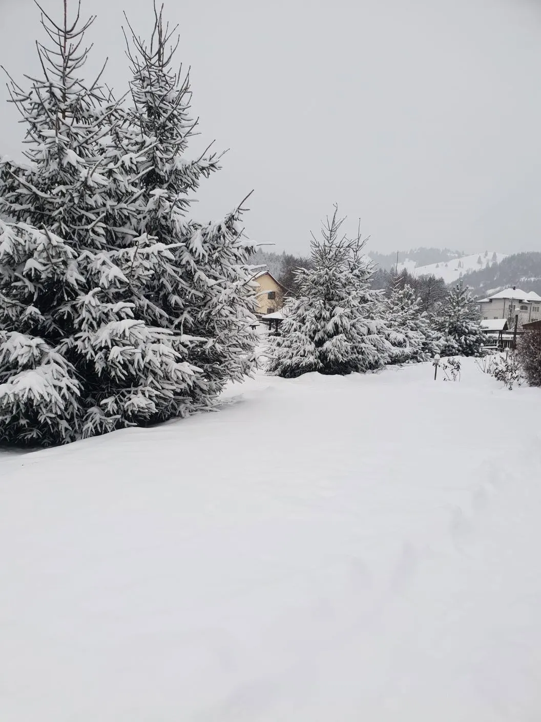 Craciun 2026 Bucovina Vama Pensiunea La Bucovineanca