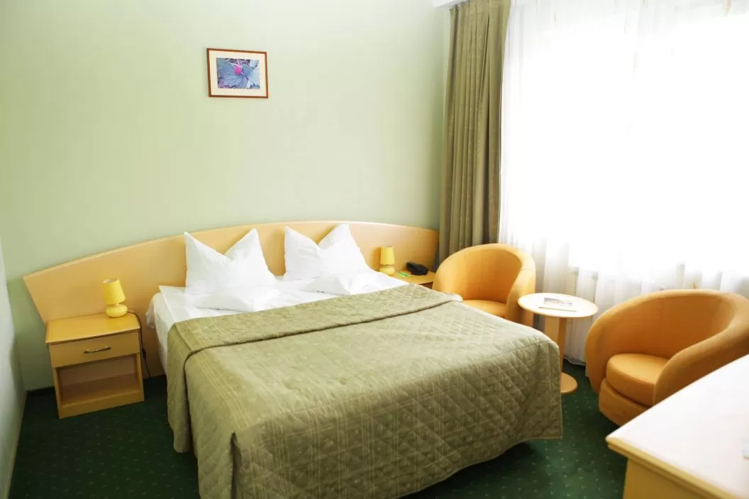 Revelion 2025 in Maramu Baia Mare Hotel Magus