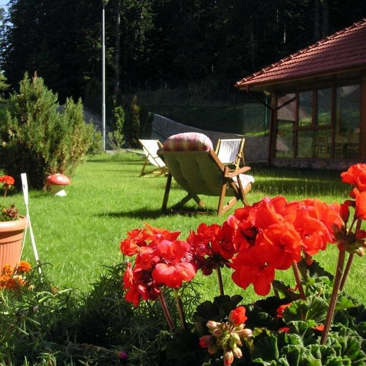 Vacanta la Munte 2023 Sinaia Hotel Cumpatu****