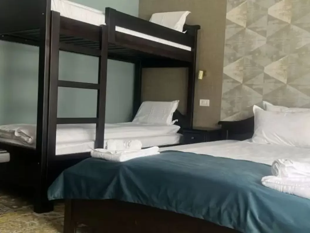 Revelion 2025 in Muntii Sureanu Hotel Poarta Raiului