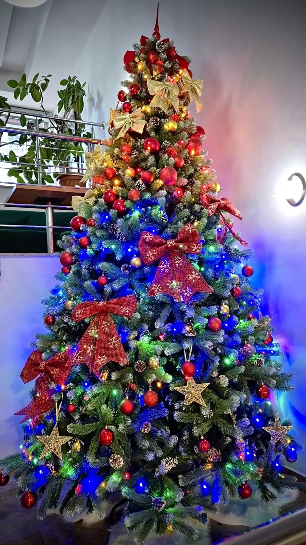 Sarbatori de Craciun 2025 Baile Olanesti Complex Tisa