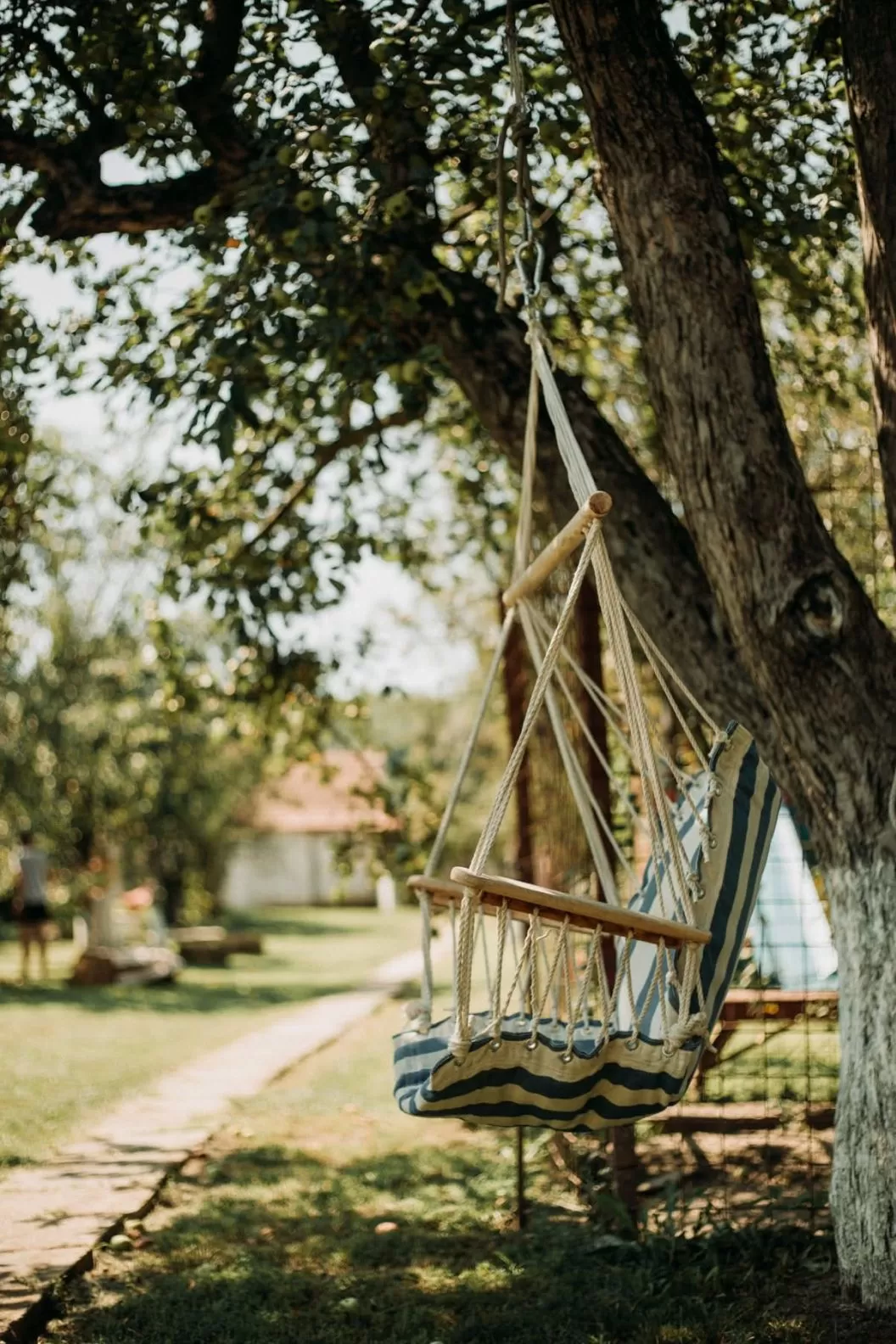 O Saptamana de Tihna si Odihna 2026 in Bazna Pensiunea Bassen