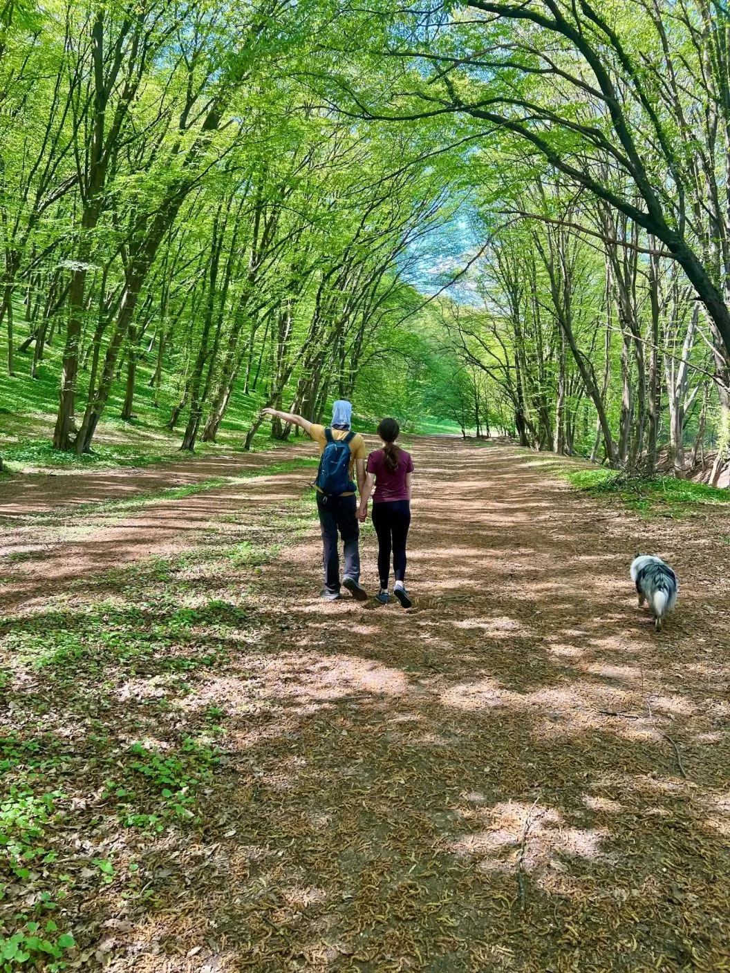 O Saptamana de Tihna si Odihna 2026 in Bazna Pensiunea Bassen