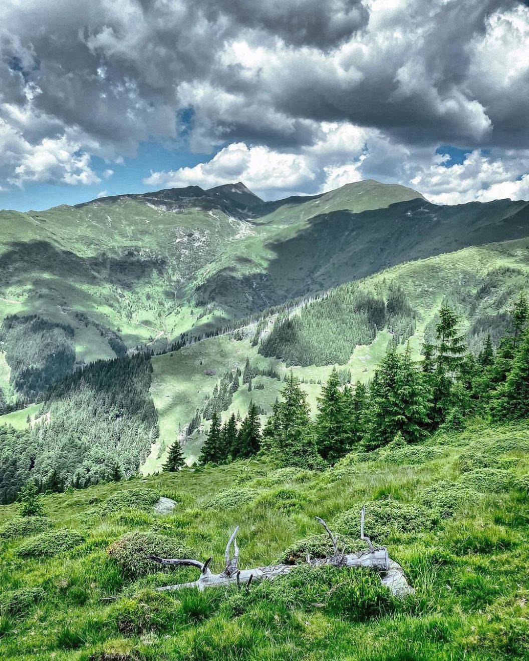 Sarbatori de Craciun Maramures Borsa Pensiunea Nord