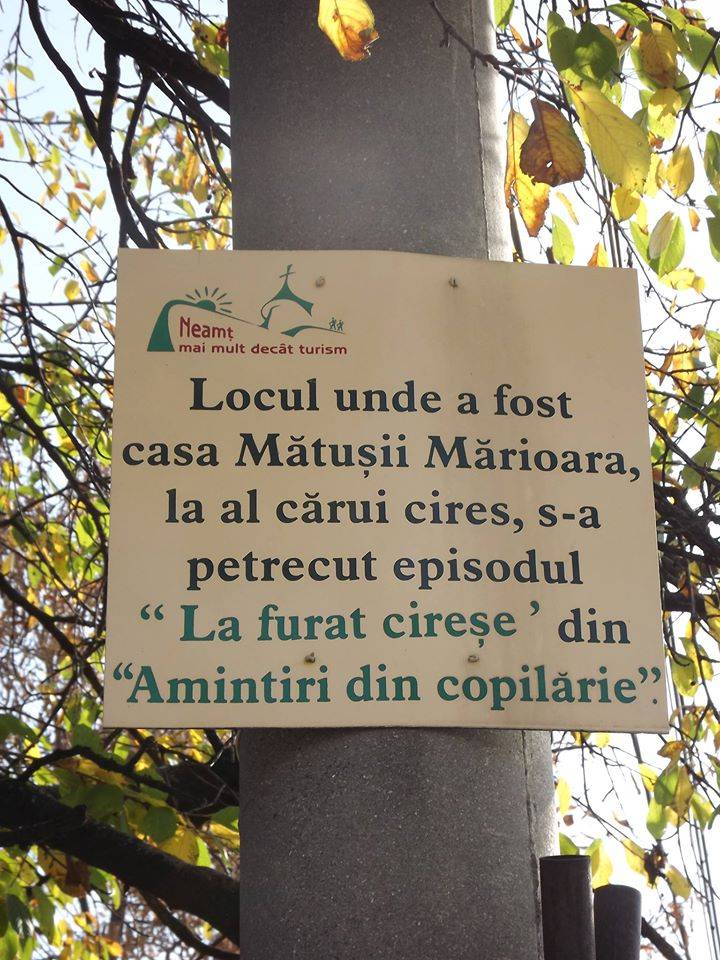 Cazare 2023 Targu Neamt Casa Arcasului***