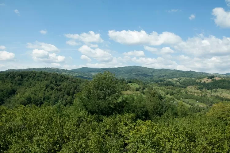 Revelion 2022 in Slanic Prahova Pensiunea Muntele Verde****