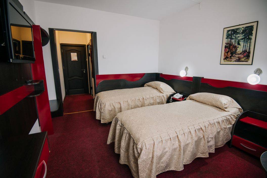 Sejur Tratament Balnear 2023 Covasna Hotel Cerbul*** 