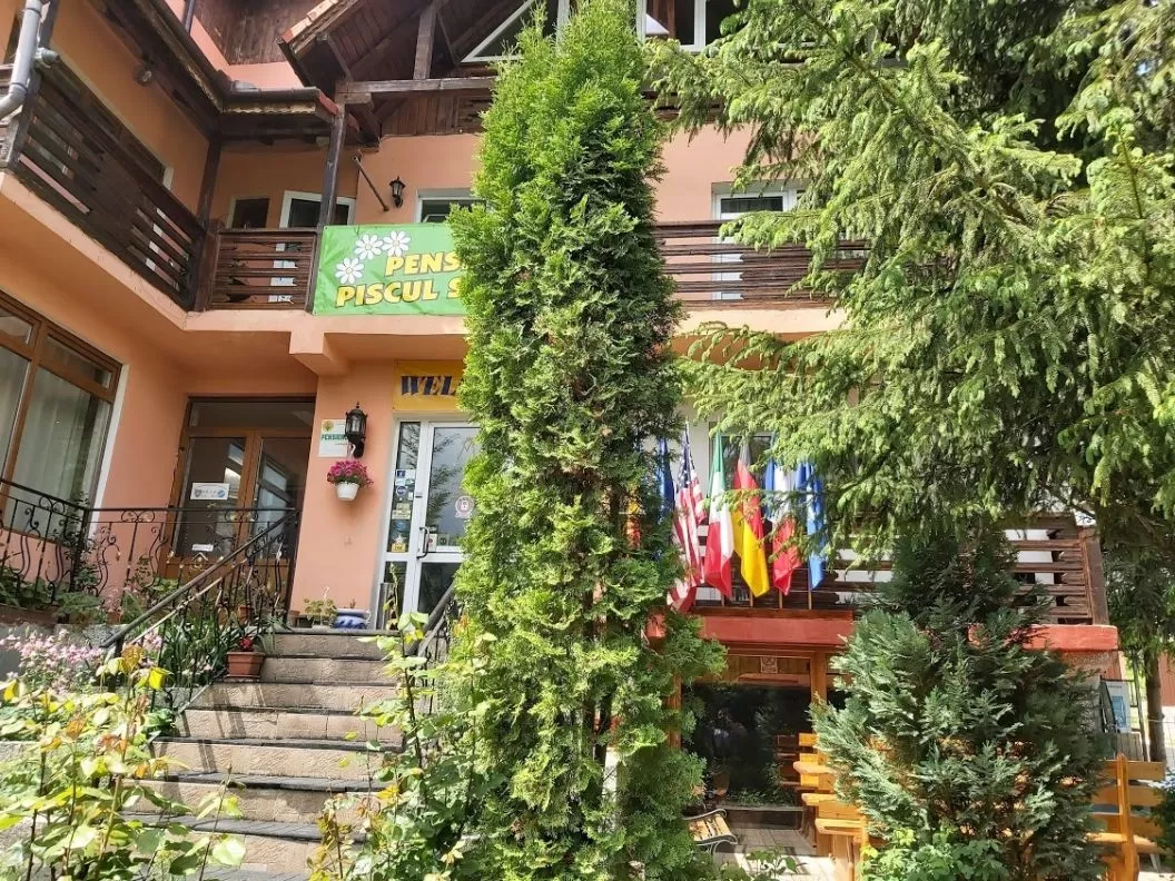 O saptamana la munte 2021 Godeni Arges Pensiunea Piscul Soarelui***
