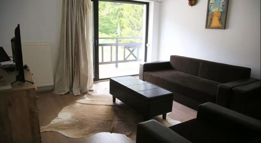 Sejur odihna 2020 Busteni – Vila Ermitage****