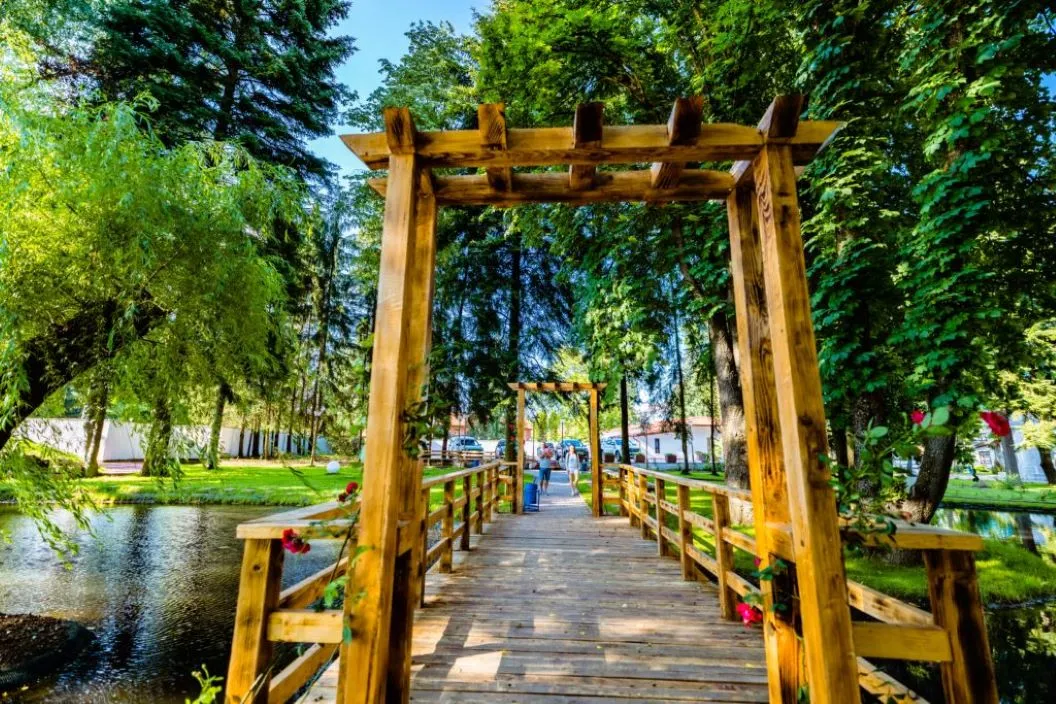 Tratament Balneo 2026 Complexul Balneo Termal Vata Bai Hotel Ponor