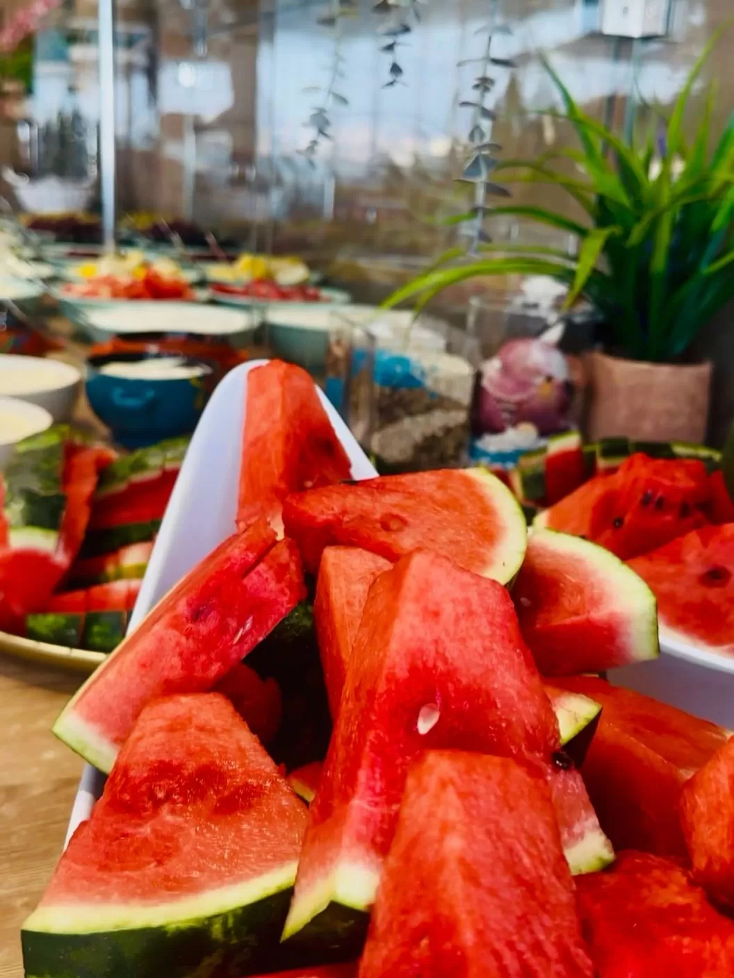 Sejur litoral 2026 Mamaia Hotel Savoy