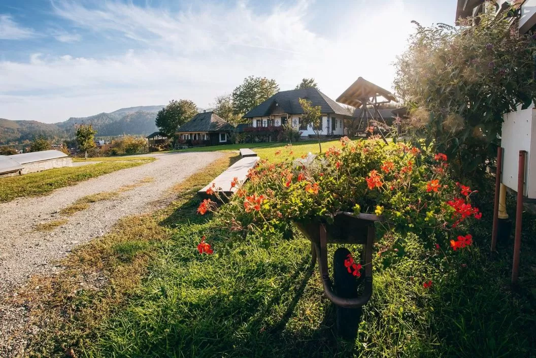 Vacanta in Bucovina 2025 Gura Humorului Pensiunea La Roata
