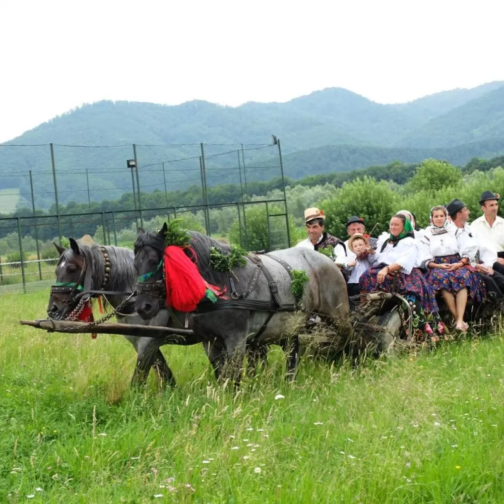 Ocna Șugatag o localitate pitorească din județul Maramureș