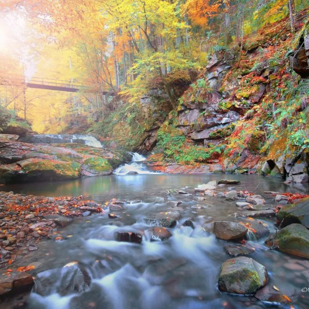 Slănic Moldova – locul unde natura vindecă, liniștea inspiră, iar fiecare zi devine o poveste
