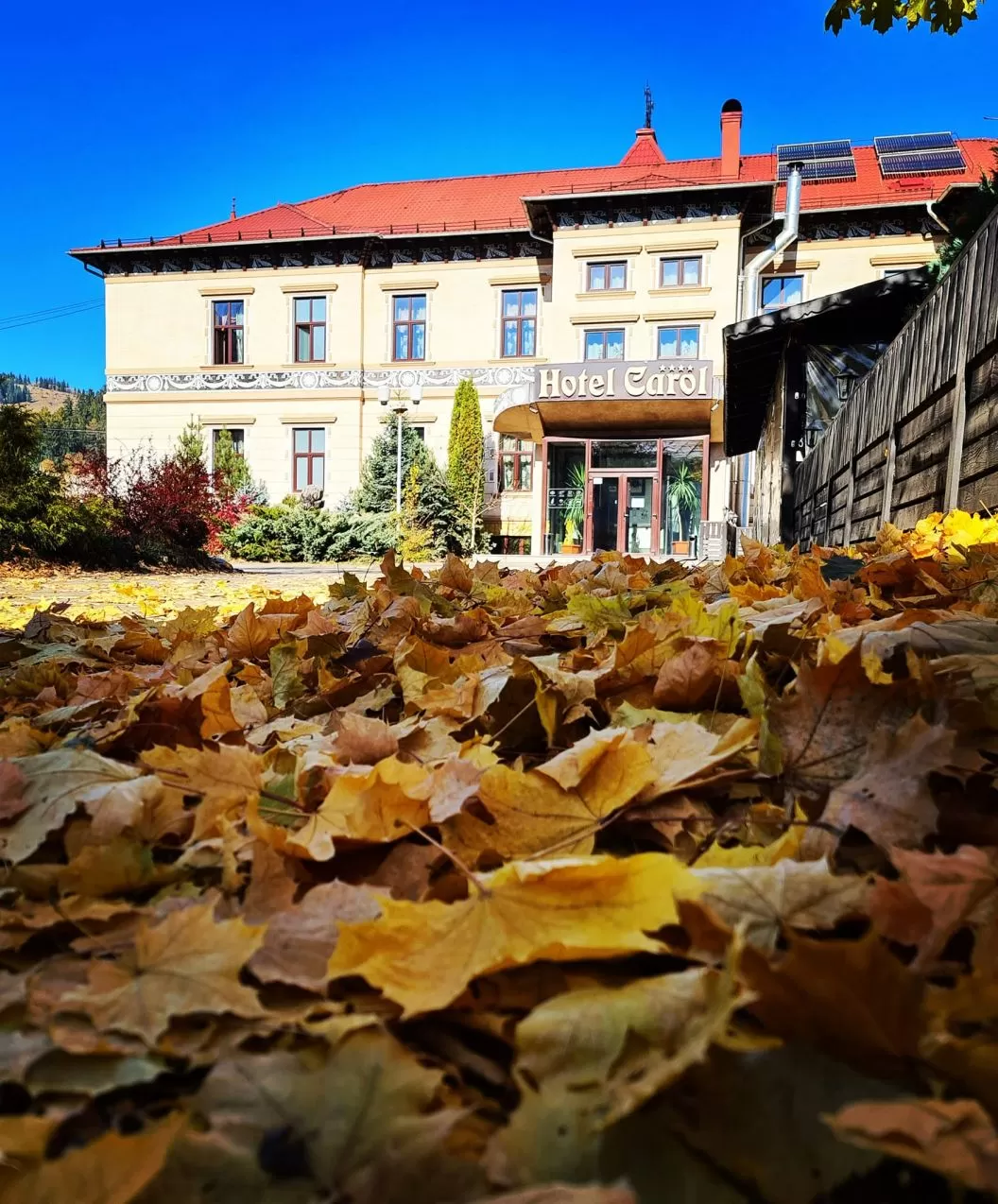 Sejur odihna 2024-2025 Vatra Dornei Hotel Carol