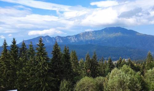 Vacanta la munte 2023 Predeal Hotel Carmen**** 