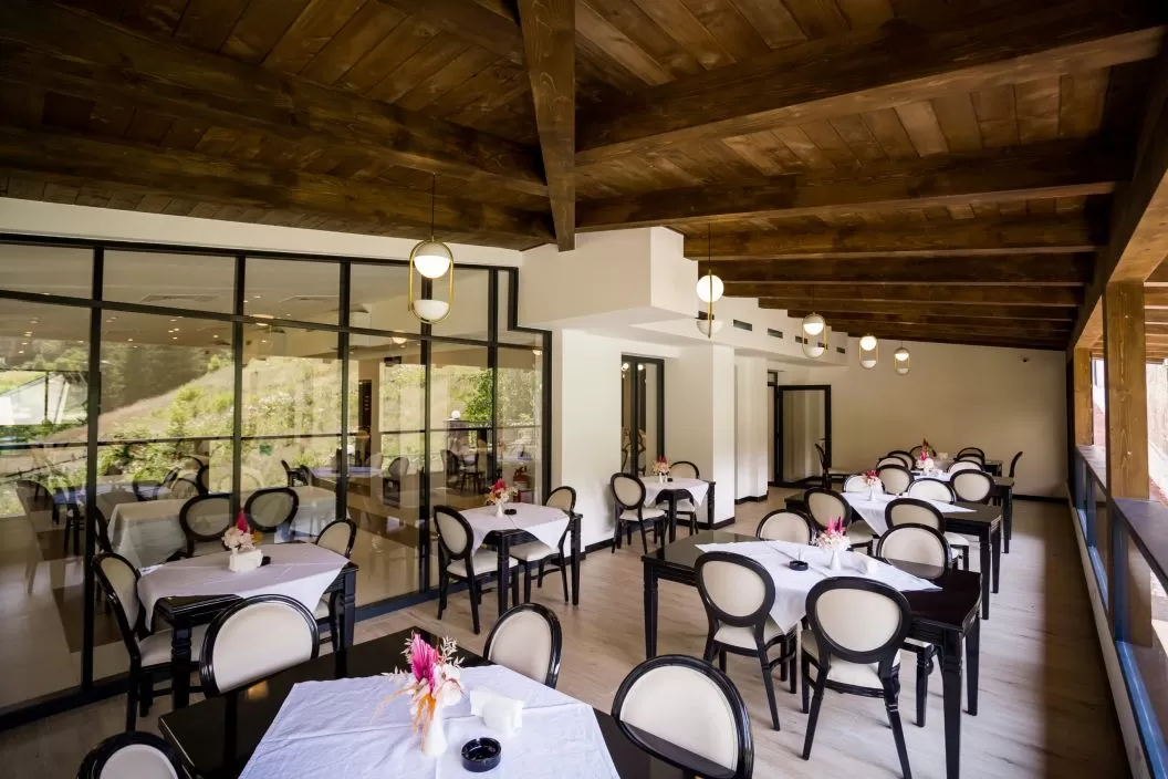 Revelion 2025 Maramures Borsa Hotel Roman