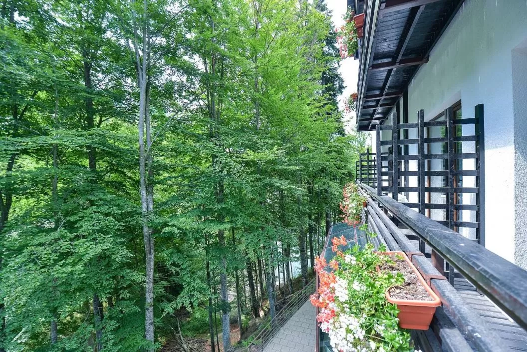 Sejur odihna 2024 Transfagarasan Hotel Posada Vidraru****