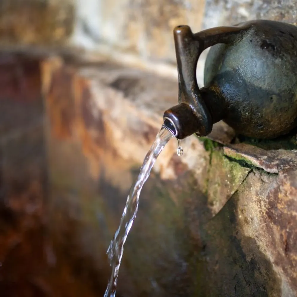 Factori naturali – Sănătate, Relaxare și Energie Regăsită