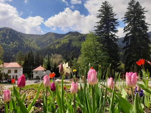Rusalii 2023 la Munte Baile Tusnad Hotel O3zone SPA****