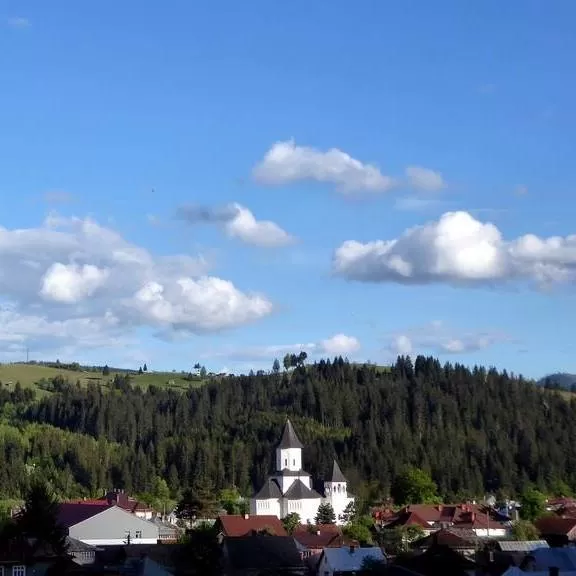 Vacanta 2021 in Bucovina Vama Pensiunea Bucovina Lodge****