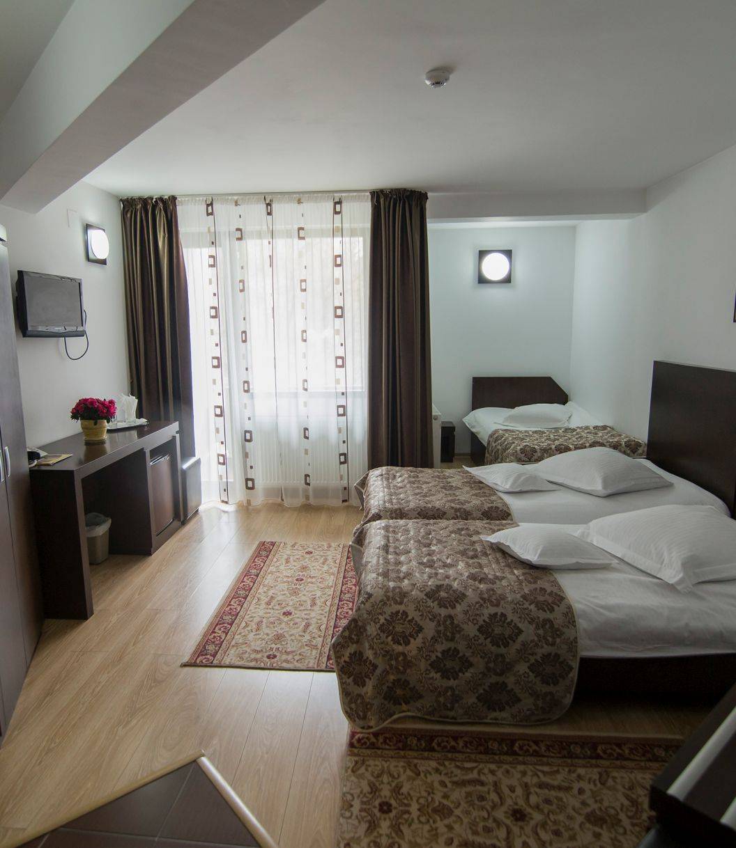 Cazare 2023 Targu Neamt Casa Arcasului***