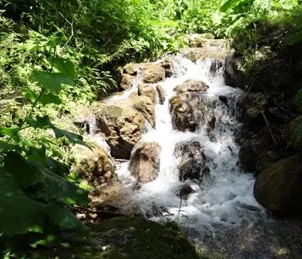 Drumetie Cheile Tamina