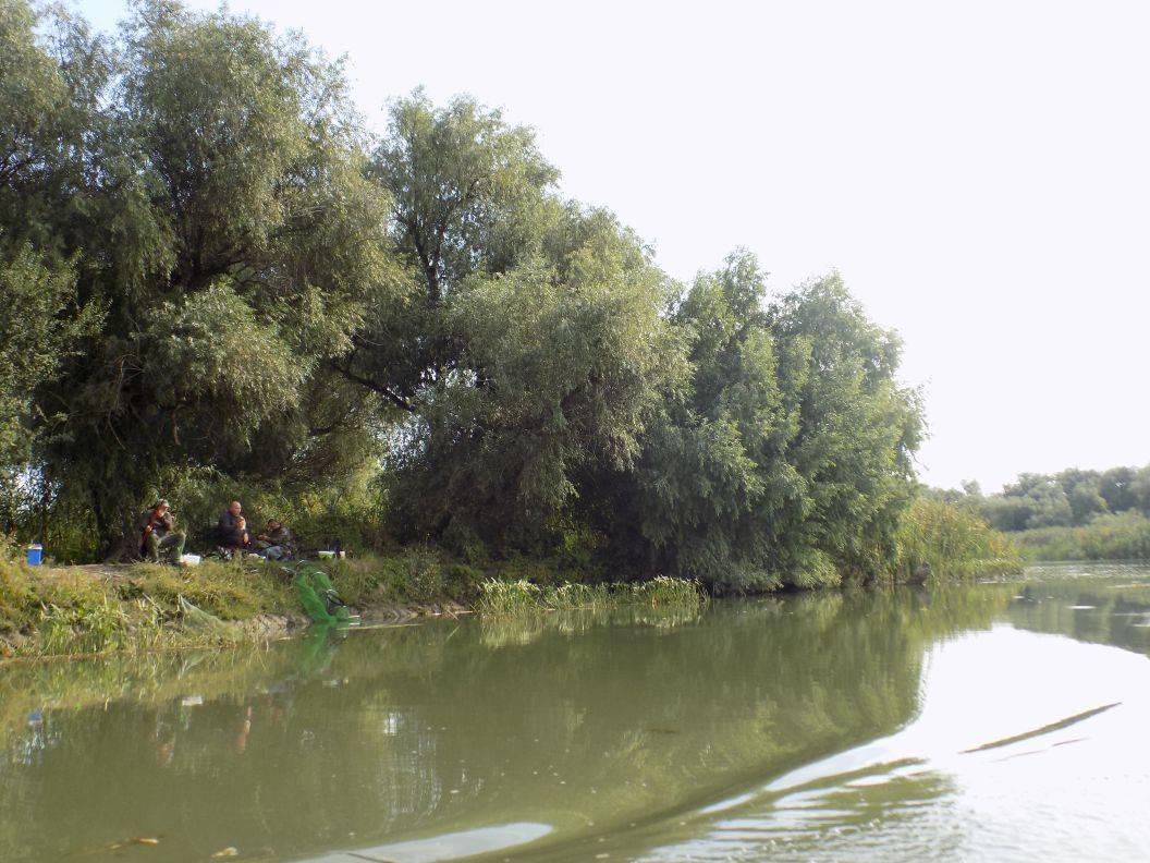 Pachete Pescuit in Delta Dunarii 2023 Crisan Pensiunea Ovidiu
