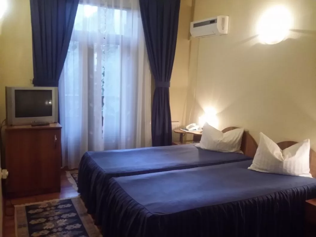 Vacanta 2021 in Maramures – Sighetu Marmatiei Vila Royal***