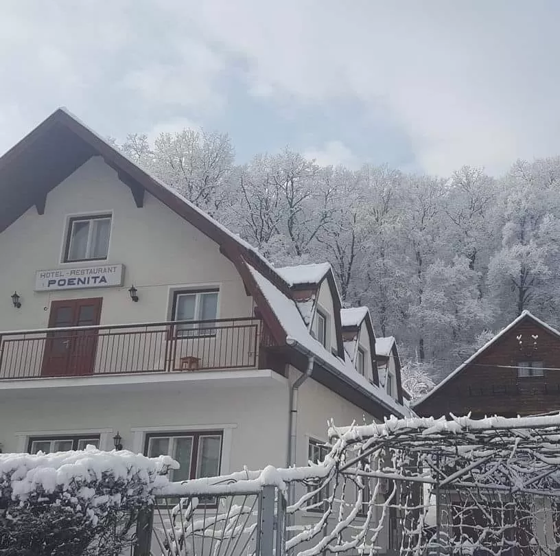 Cazare 2024 Sighisoara Hotel Poenita