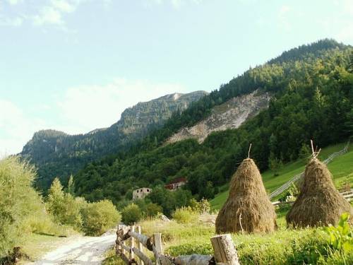 Sejur odihna 2025 Maramures Borsa Hotel Cerbul