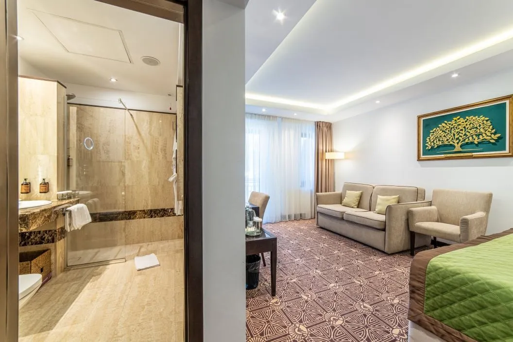 Relaxare la Munte 2026 Paltinis Hotel Castelnor