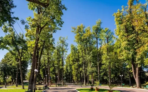 Sejur odihna 2025 Pucioasa Hotel Turist***