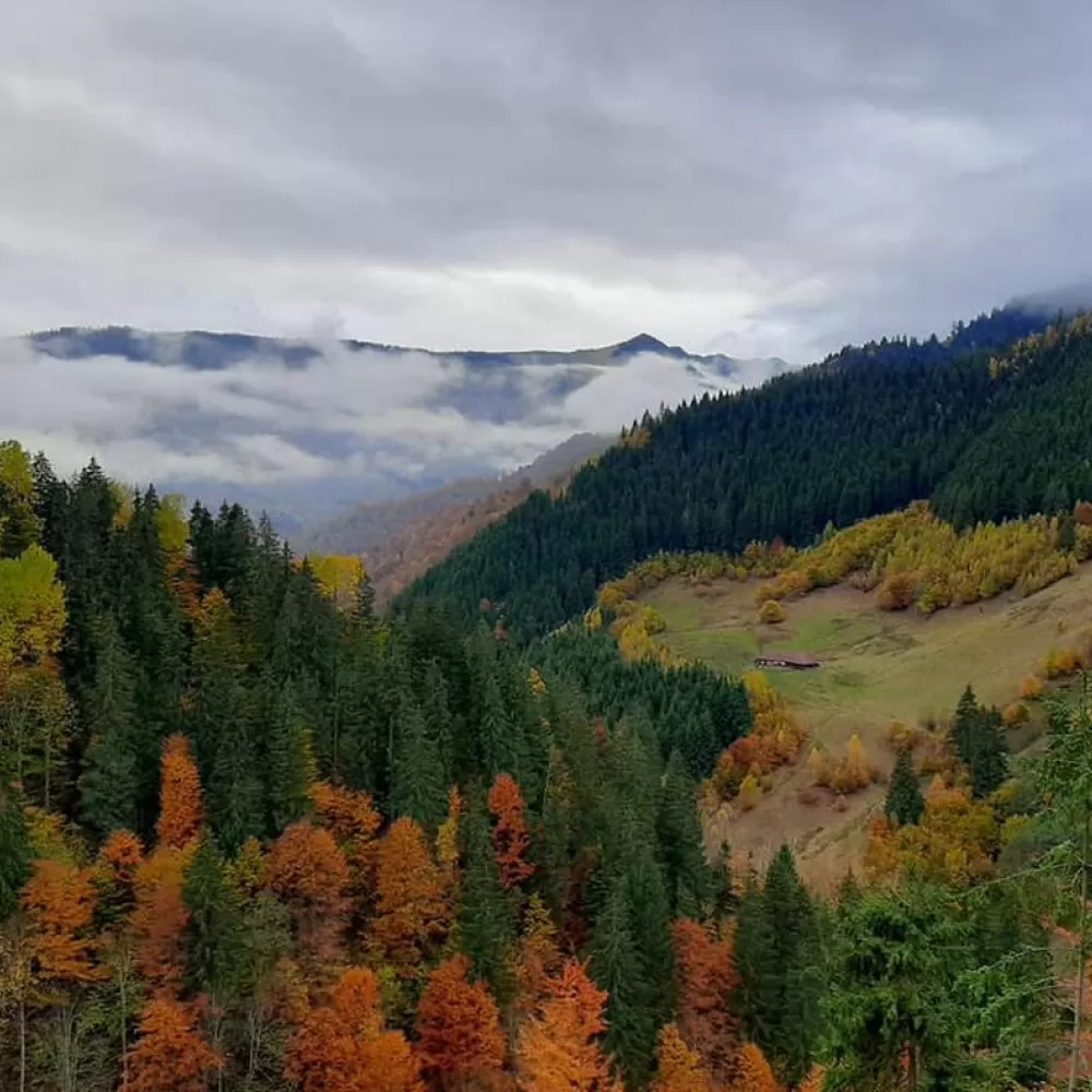 Ocna Șugatag o localitate pitorească din județul Maramureș