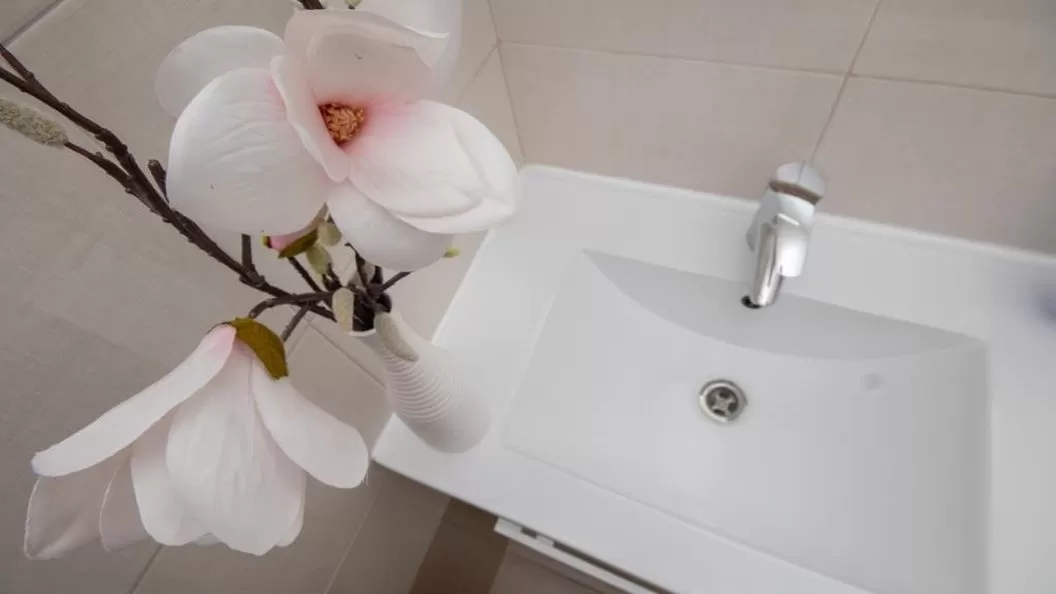 Vacanta 2026 in Clisura Dunarii Eselnita Pensiunea Danubia