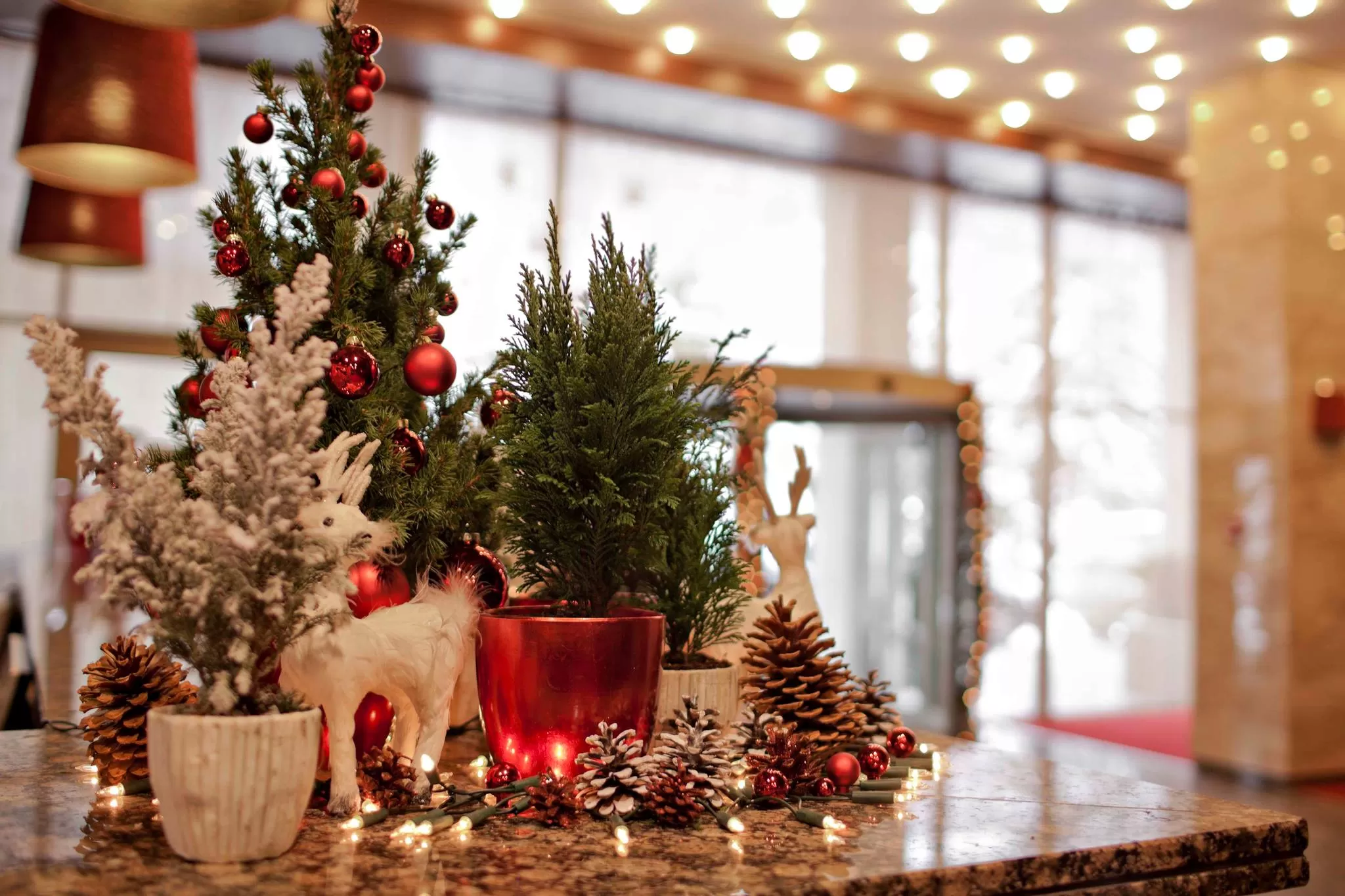 Sarbatori de Craciun 2023 Covasna Hotel Clermont**** 