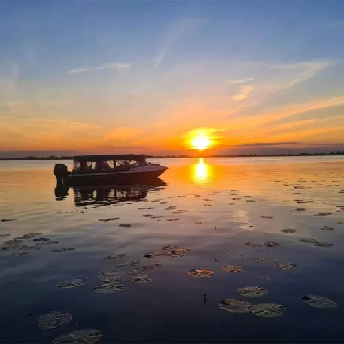 Sejur All Inclusive in Delta Dunarii 2025 Mila 23 Pensiunea Gigant Fish