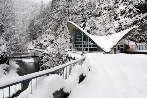 Oferta Speciala Revelion 2026 Baile Olanesti Hotel Livadia