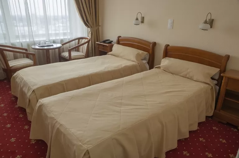Cazare 2025 Braila Hotel Traian***