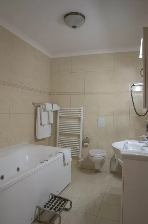 Cazare 2025 Braila Hotel Traian***