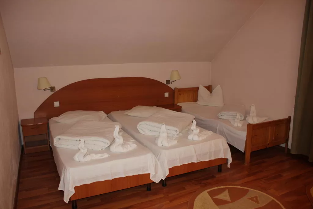 Cazare 2024 Sighisoara Hotel Poenita