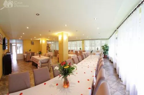 Revelion 2020 Maramures Ocna Sugatag Pensiunea Popasul din Deal*** 