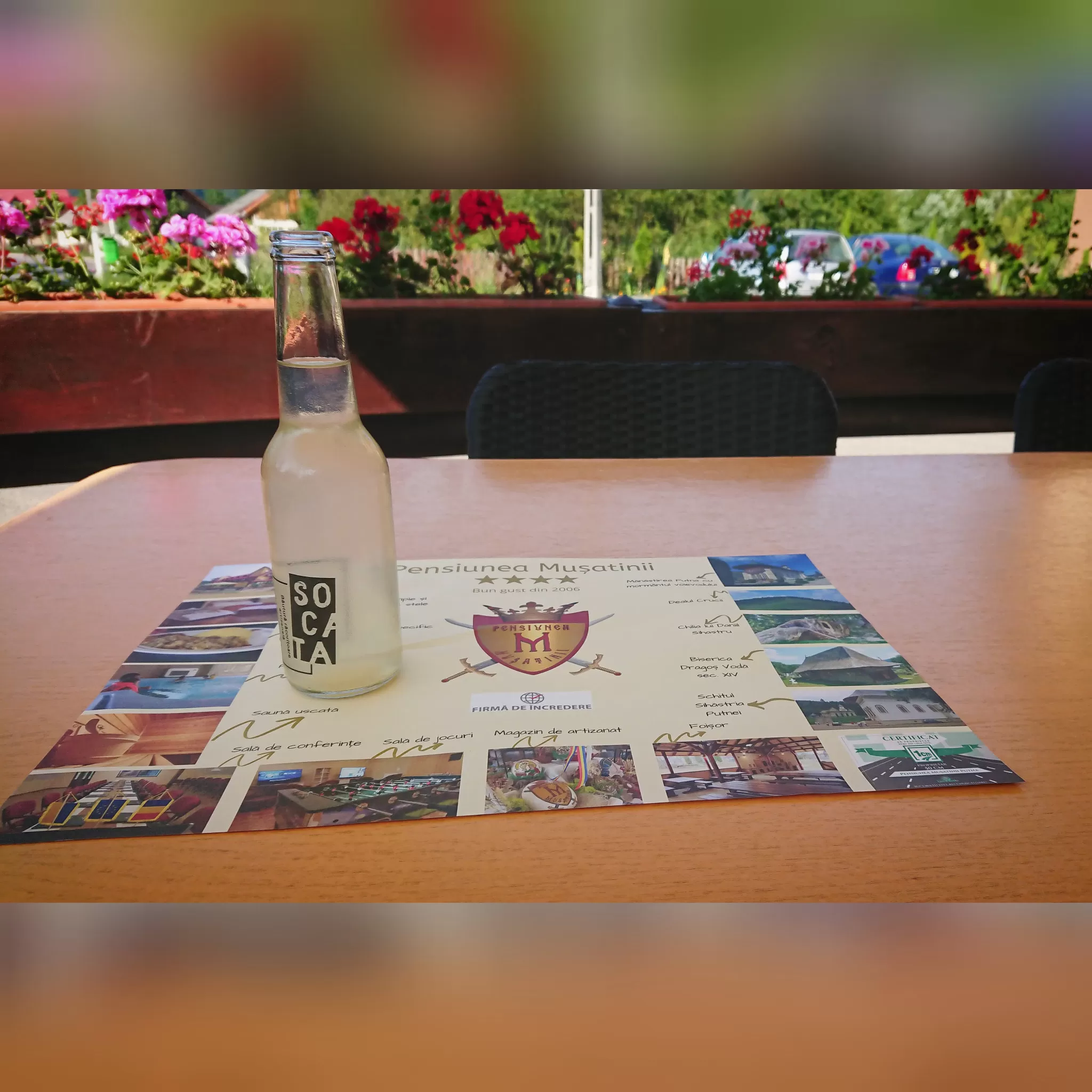 Vacanta in Bucovina - Putna Pensiunea Musatinii****
