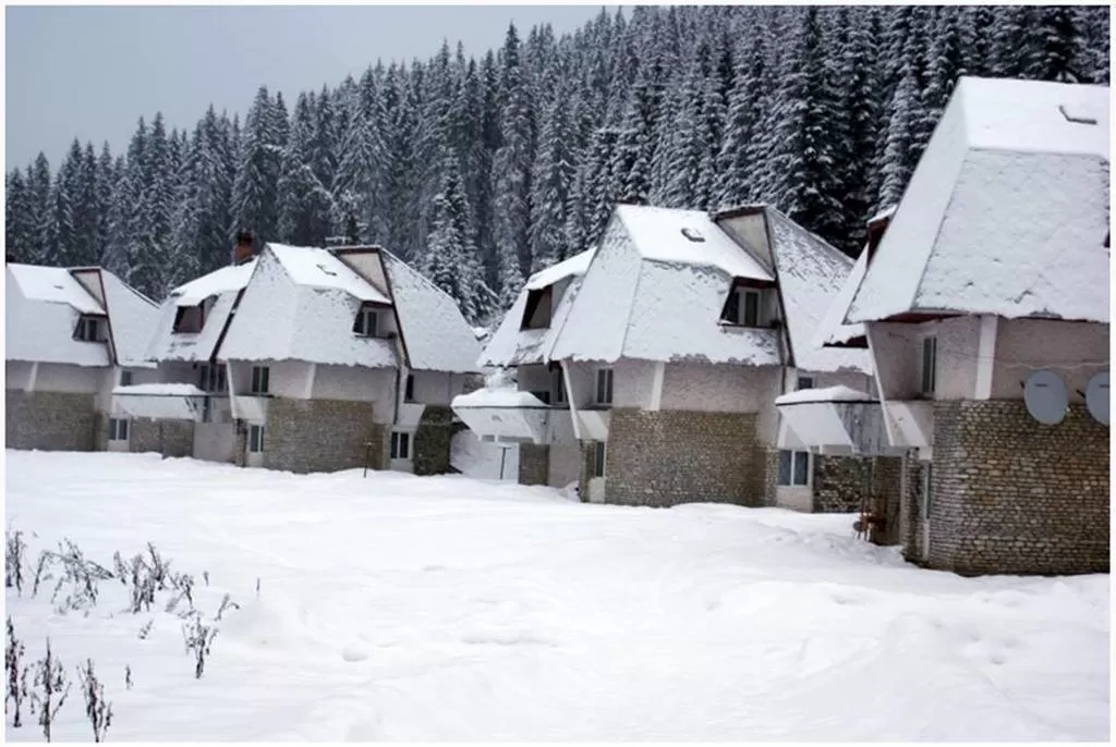 Vacanta la Munte 2022 Vidra Vile Vidra** 